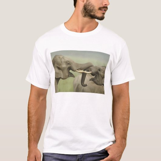 インドのアジアゾウの戦い Tシャツ (正面)