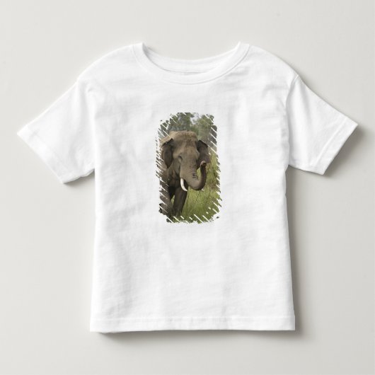 インドのアジアゾウの挨拶 トドラーTシャツ (正面)