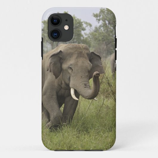 インドのアジアゾウの挨拶 Case-Mate iPhoneケース (裏面)