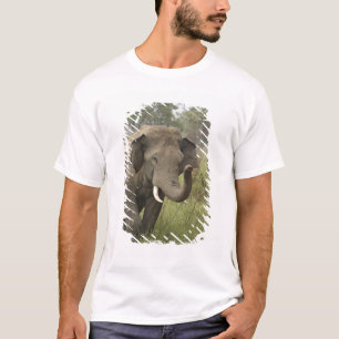 インドのアジアゾウの挨拶 Tシャツ