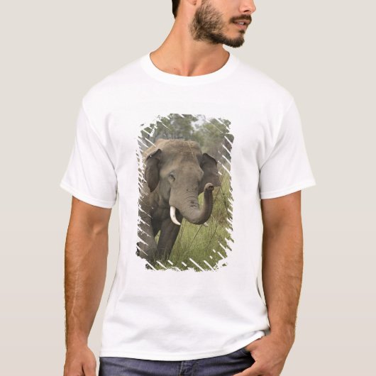 インドのアジアゾウの挨拶 Tシャツ (正面)