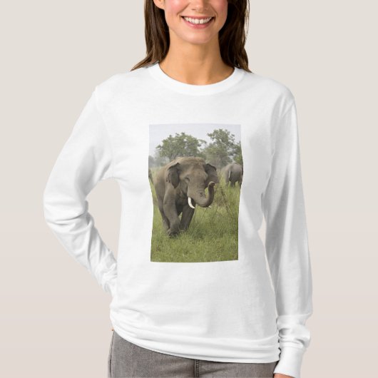 インドのアジアゾウの挨拶 Tシャツ (正面)
