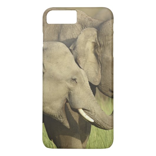 インドのアジアゾウ Case-Mate iPhoneケース (裏面)