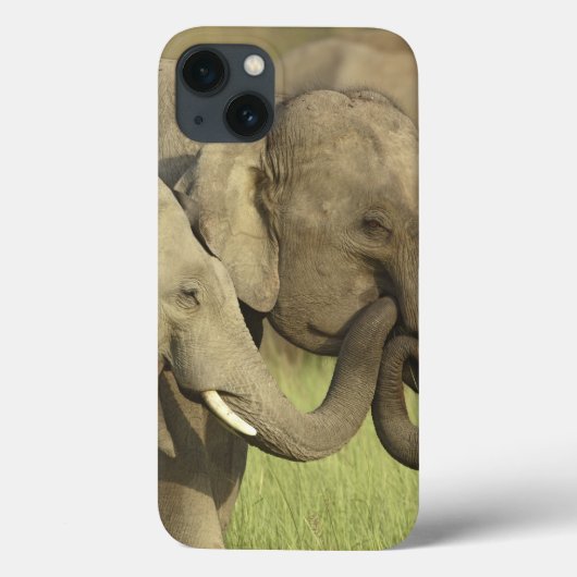 インドのアジアゾウ Case-Mate iPhoneケース (裏面)