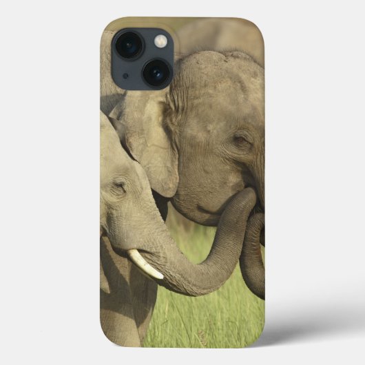 インドのアジアゾウ Case-Mate iPhoneケース (裏面)