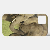 インドのアジアゾウ Case-Mate iPhoneケース (裏面 (横))