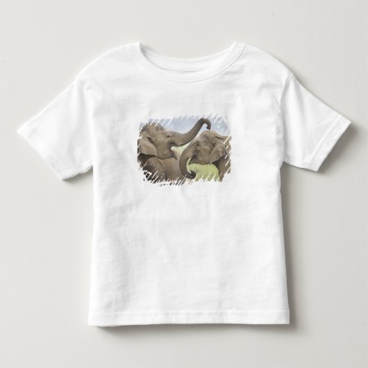 インドのアジア象の戦い遊び トドラーTシャツ (正面)