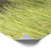 インドのウタランチャル州コルベット国立公園。 ポスター (角)