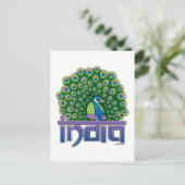 インドのクジャク ポストカード (スタンド正面)