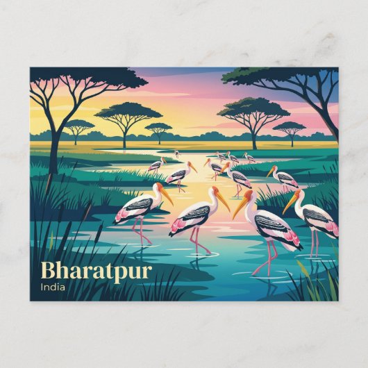 インドのケオラデオ国立公園 ポストカード (正面)