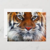 インドのジャングルの主、王室のなベンガルトラ ポストカード (正面/裏面)
