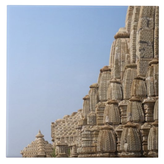 インドのチットールガル城塞にあるジャイナ寺院 タイル (正面)