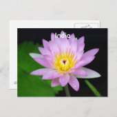 インドのハス ポストカード (正面/裏面)