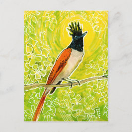 インドのパラダイスフライキャッチャー 熱帯鳥の描画 ポストカード