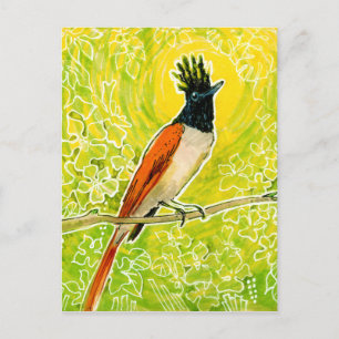インドのパラダイスフライキャッチャー 熱帯鳥の描画 ポストカード