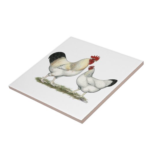 インドの川の鶏 タイル (側面)