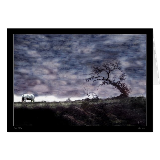 インドの日没 (正面横)