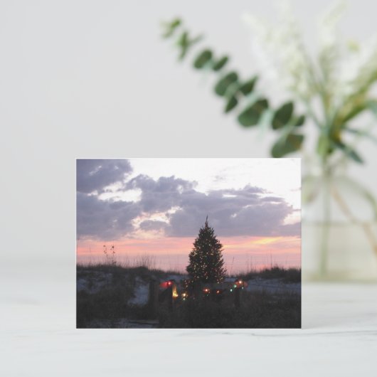 インドの石ビーチ、フロリダのクリスマス シーズンポストカード (スタンド正面)