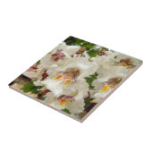 インドの豆木によっては陶磁器の写真のタイルが開花します タイル (側面)