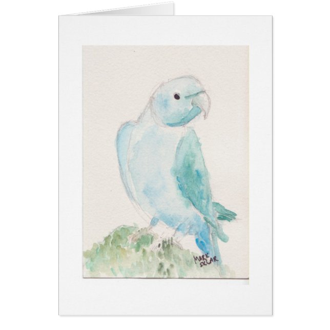 インドのringneckのインコ (正面)