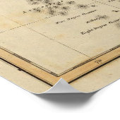 インドオスタン5 ポスター (角)