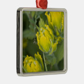 インドゴールデンペイントブラシ Castilleja メタルオーナメント (右)