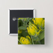インドゴールデンペイントブラシ Castilleja 缶バッジ (正面&裏面)