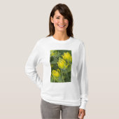 インドゴールデンペイントブラシ Castilleja Tシャツ (正面フル)