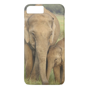 インドゾウと子供、コルベット iPhone 8 PLUS/7 PLUSケース