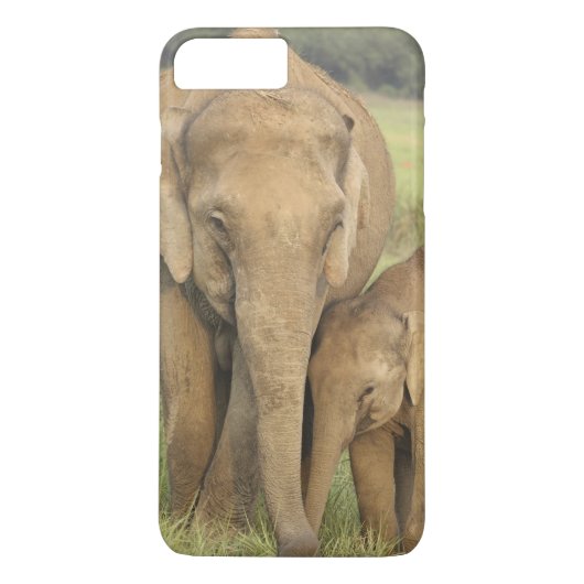 インドゾウと子供、コルベット Case-Mate iPhoneケース (裏面)