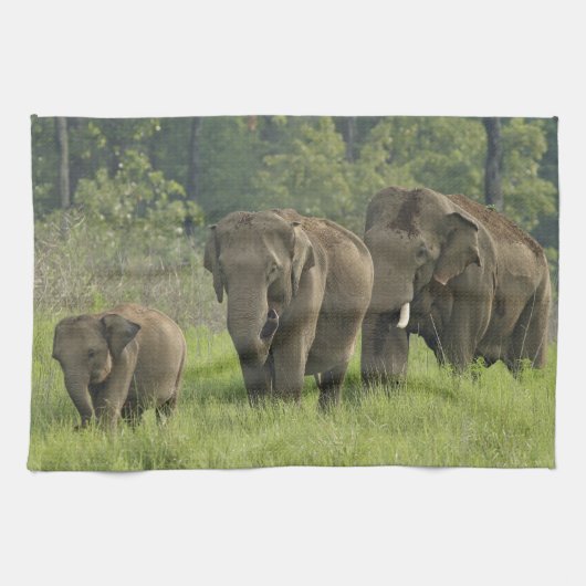インドゾウの家族 キッチンタオル (横)