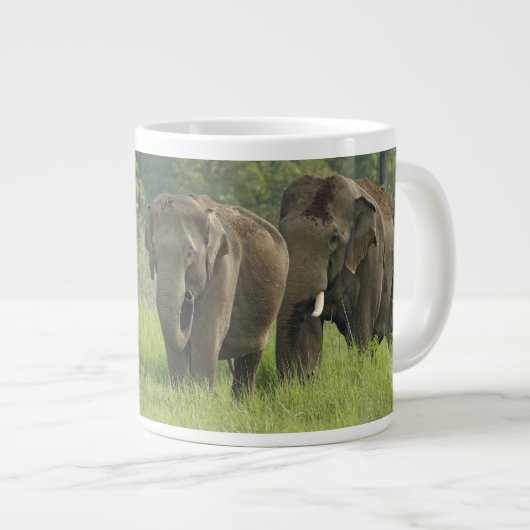 インドゾウの家族 ジャンボコーヒーマグカップ (正面右)