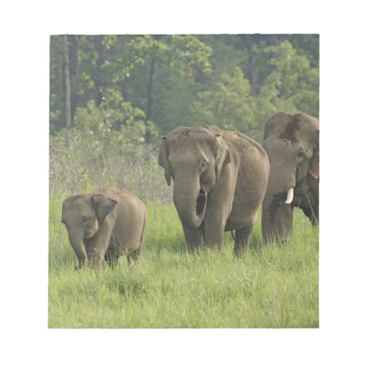 インドゾウの家族 ノートパッド (正面)