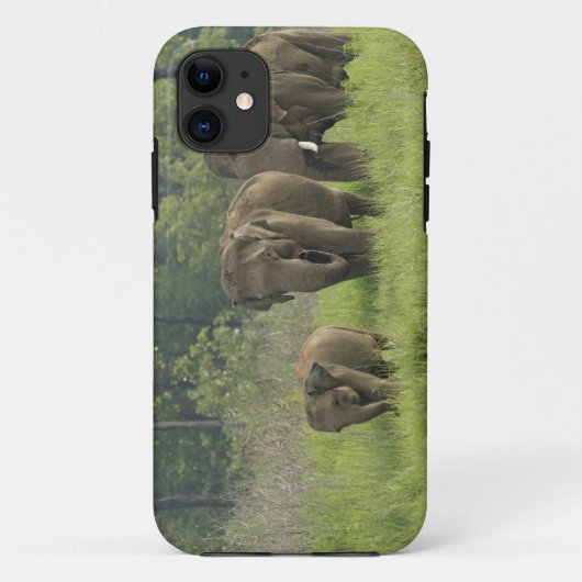 インドゾウの家族 Case-Mate iPhoneケース (裏面)