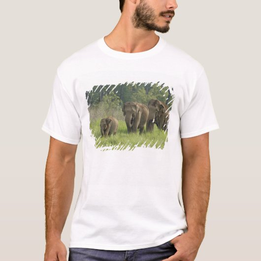 インドゾウの家族 Tシャツ (正面)