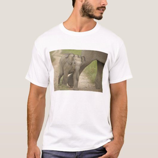 インドゾウの親子、コーベット国立公園 2 Tシャツ (正面)