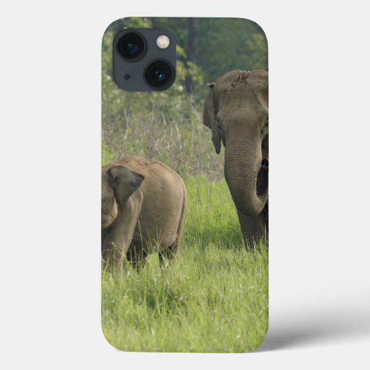 インドゾウ家族の出ること Case-Mate iPhoneケース (裏面)