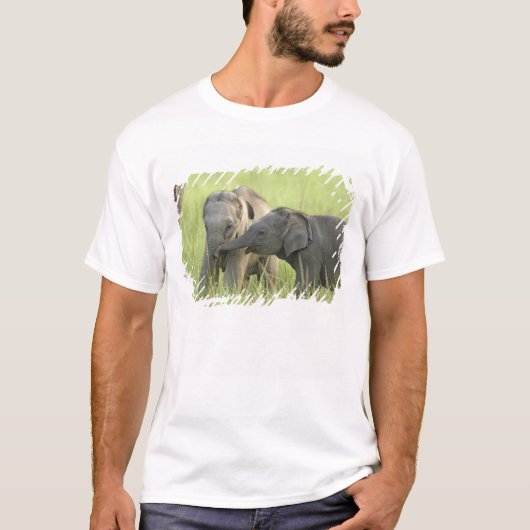 インドゾウ / アジアゾウの子供 Tシャツ (正面)