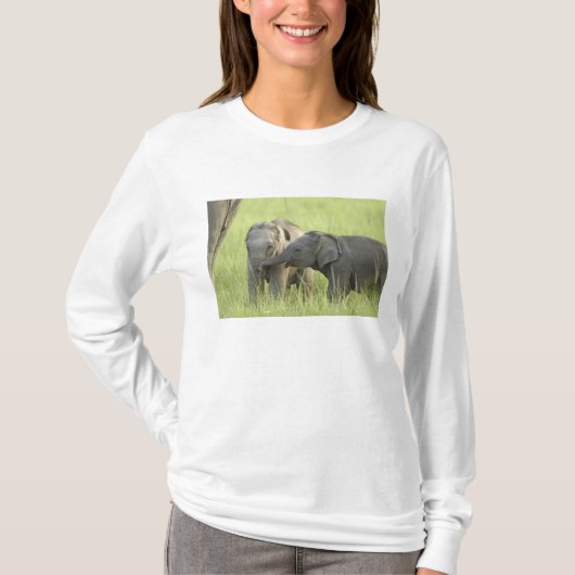 インドゾウ / アジアゾウの子供 Tシャツ (正面)