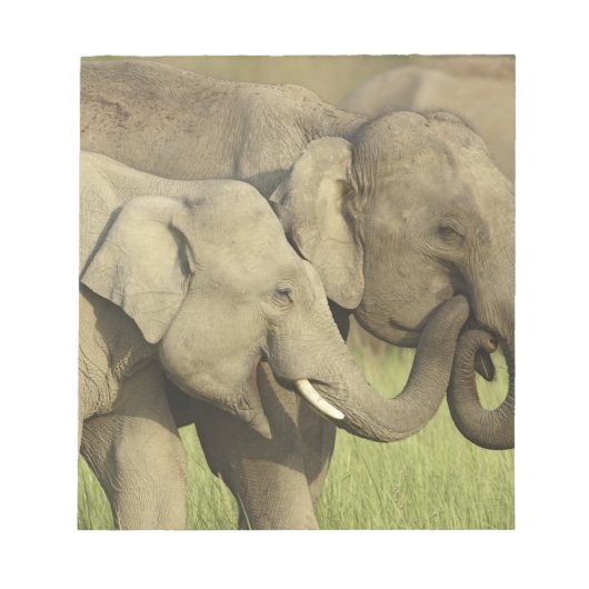 インドゾウ ノートパッド (正面)