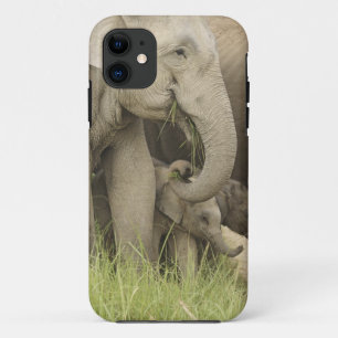 インドゾウ+子象, コルベット 3 iPhone 11 ケース