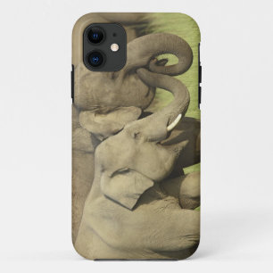 インドゾウ iPhone 11 ケース