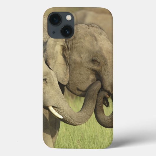 インドゾウ Case-Mate iPhoneケース (裏面)