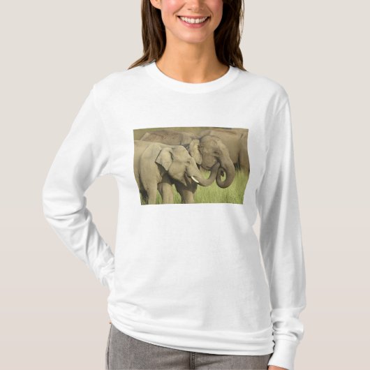 インドゾウ Tシャツ (正面)