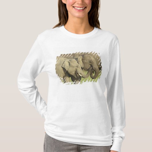 インドゾウ Tシャツ (正面)
