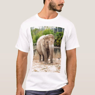 インドゾウ Tシャツ
