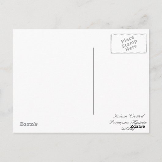 インドトゲクビヤマアラシ ポストカード (裏面)