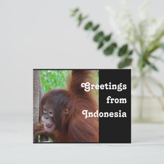インドネシアからの旅行の挨拶 ポストカード (スタンド正面)