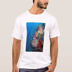 インドネシアのサンゴ礁 Tシャツ