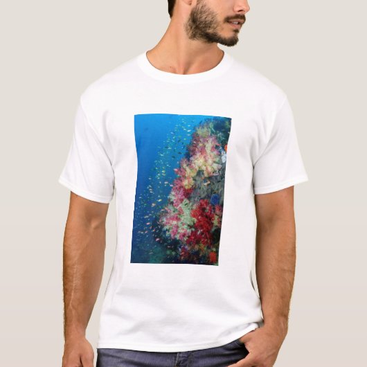 インドネシアのサンゴ礁 Tシャツ (正面)